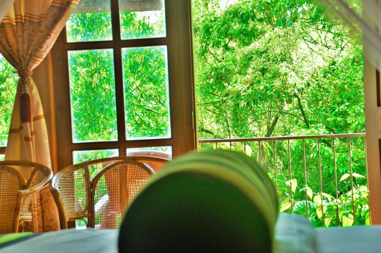 Green Cottage Ella Εξωτερικό φωτογραφία