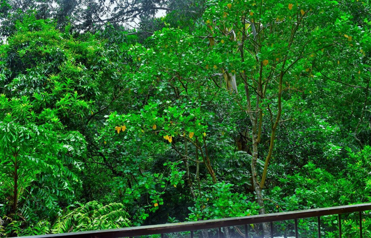 Green Cottage Ella Εξωτερικό φωτογραφία