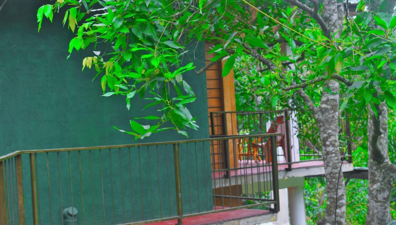 Green Cottage Ella Εξωτερικό φωτογραφία
