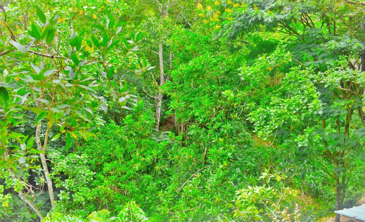 Green Cottage Ella Εξωτερικό φωτογραφία
