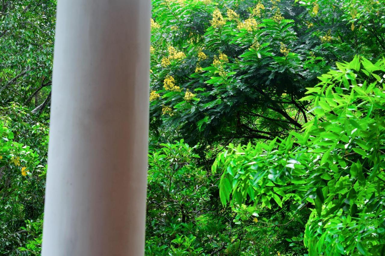 Green Cottage Ella Εξωτερικό φωτογραφία