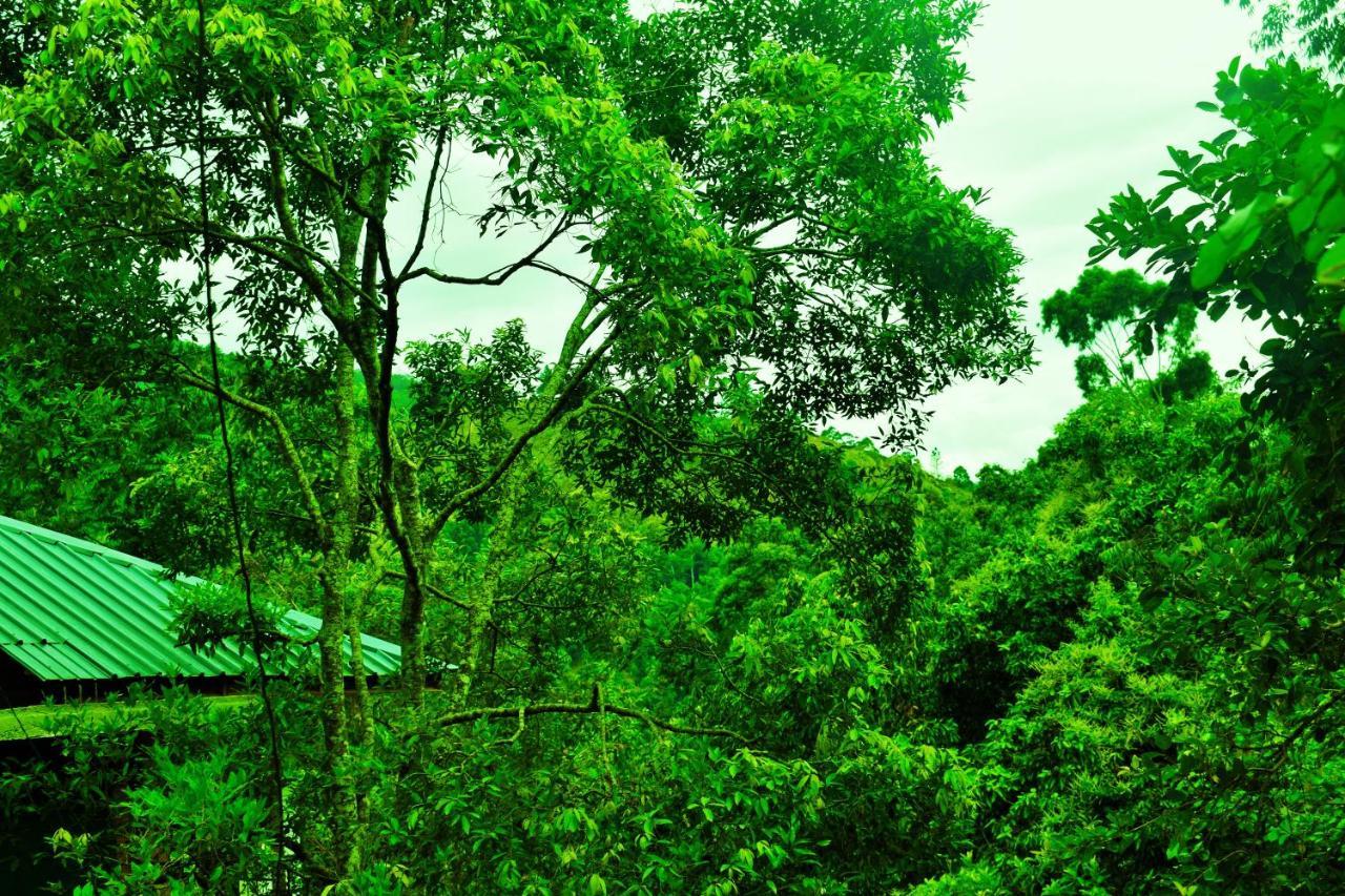 Green Cottage Ella Εξωτερικό φωτογραφία